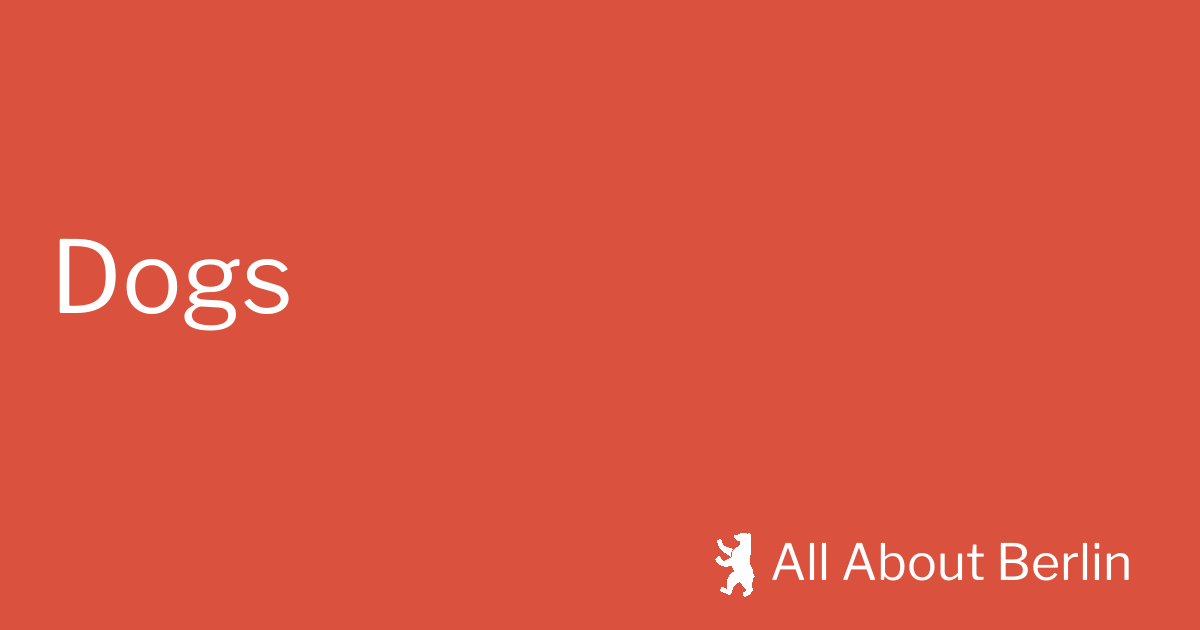 Dogs All About Berlin