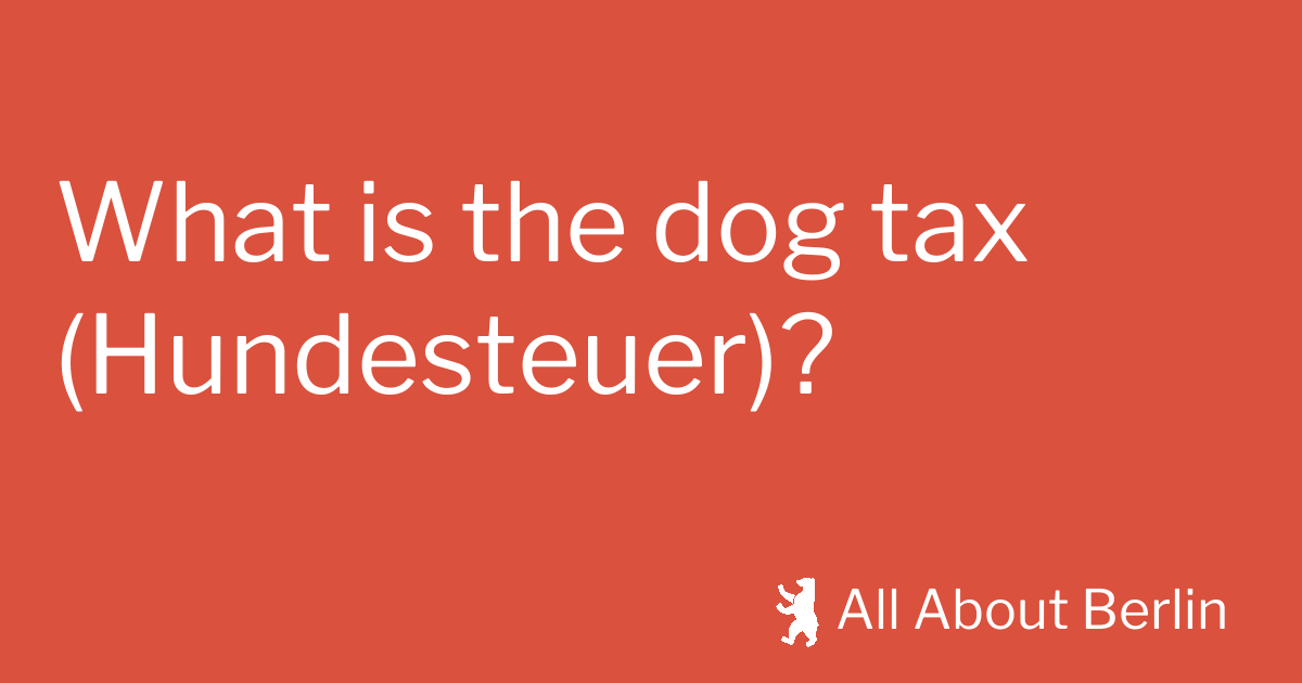 What is the dog tax (Hundesteuer)? All About Berlin