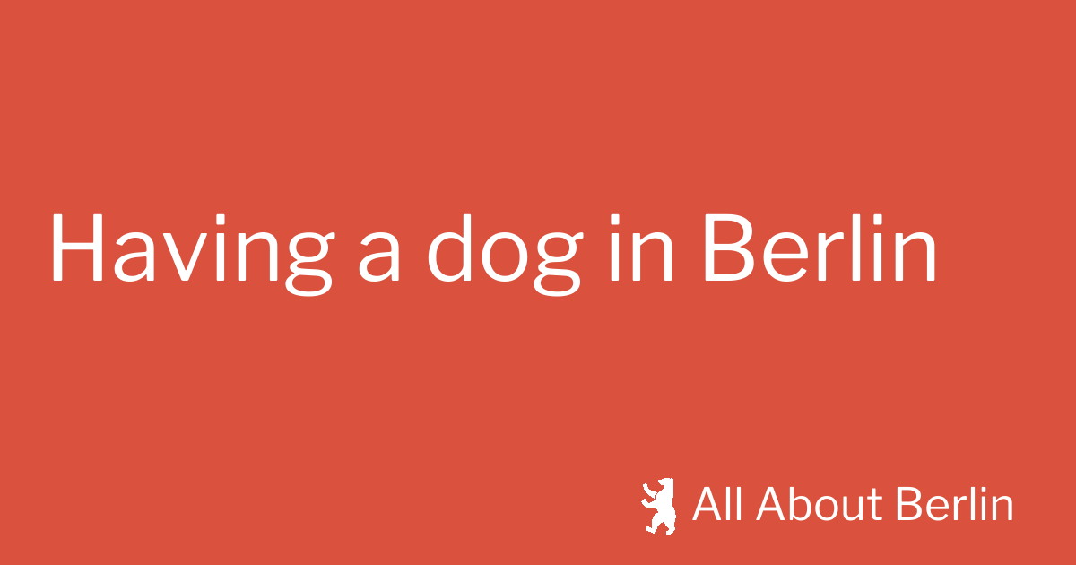 Having a dog in Berlin All About Berlin