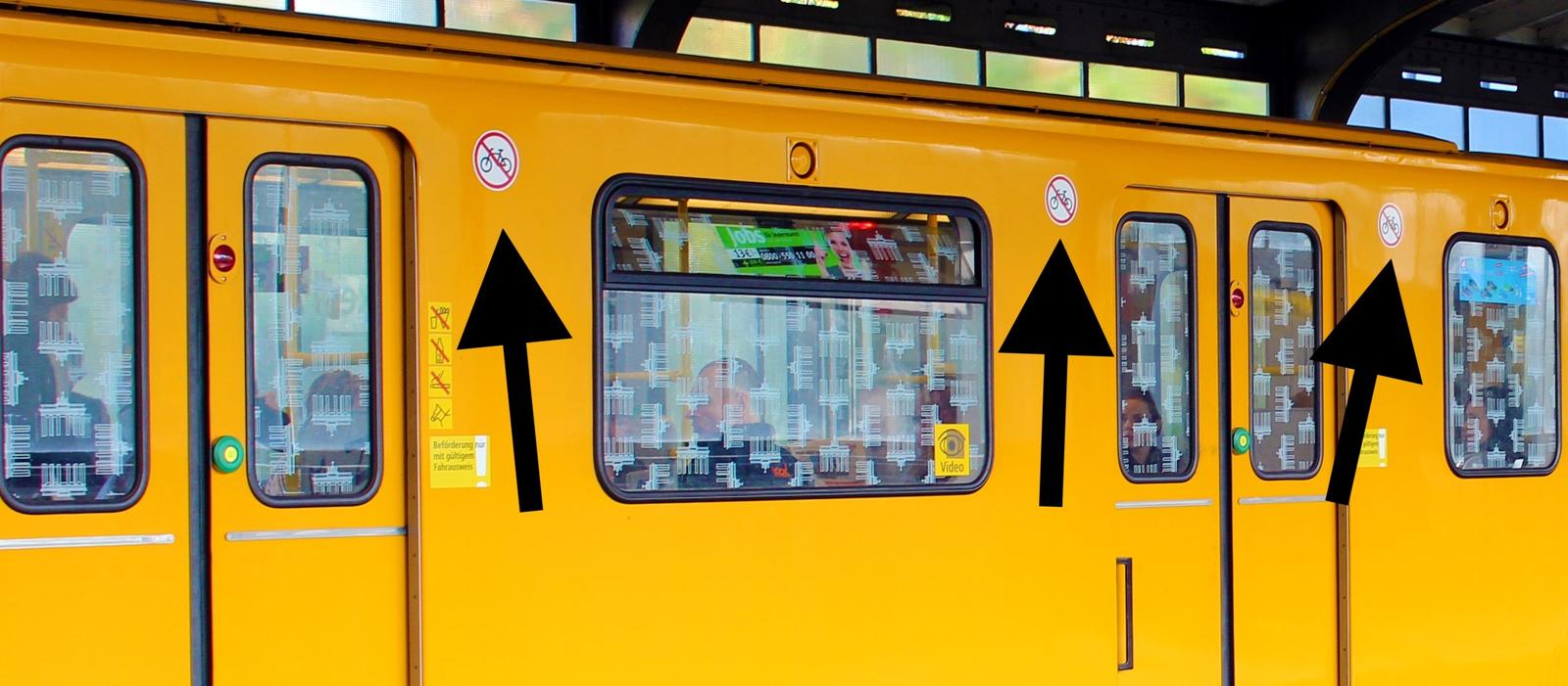 can you take dogs on sncf trains